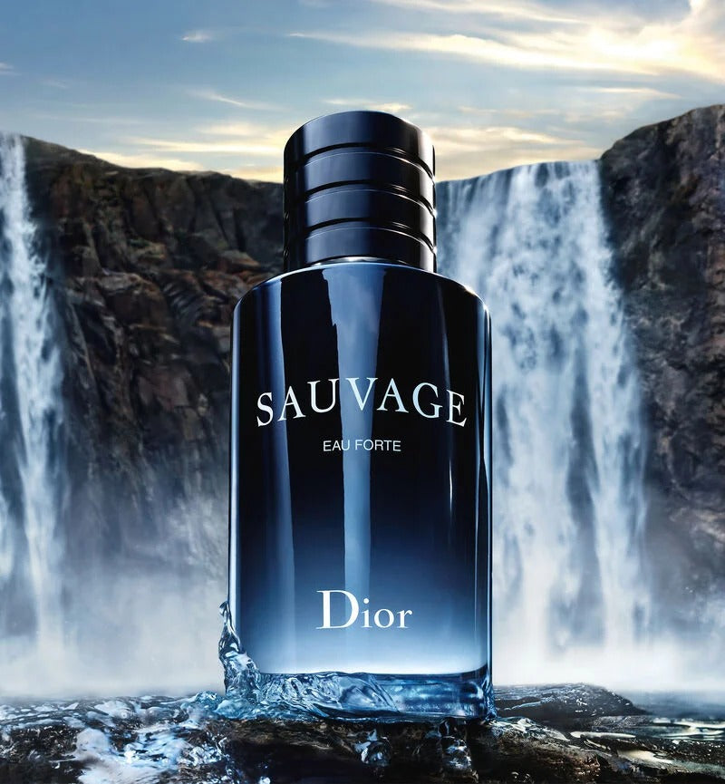 Combo Set Bleu De Chanel 100ML+Dior Sauvage 100ML with original magnet cap (Alcohol-Free Fragrance - Fresh and Intense Notes)